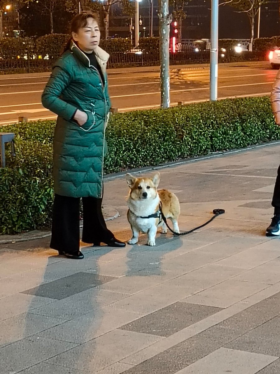 Pyare Makwana tweet media