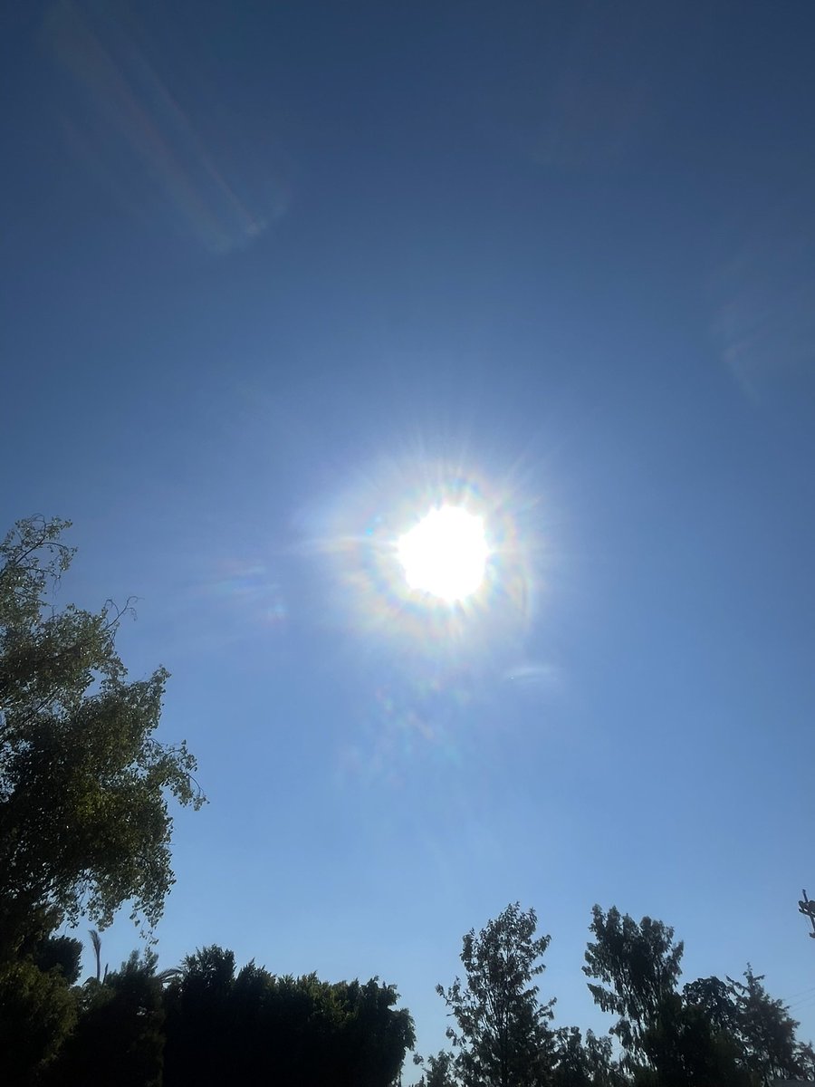 tonyram08's tweet photo. Así como el girasol … 
Buscando los rayos del sol …
Agradecido un nuevo día ..!!! 🐊 https://t.co/8644dOY5wg