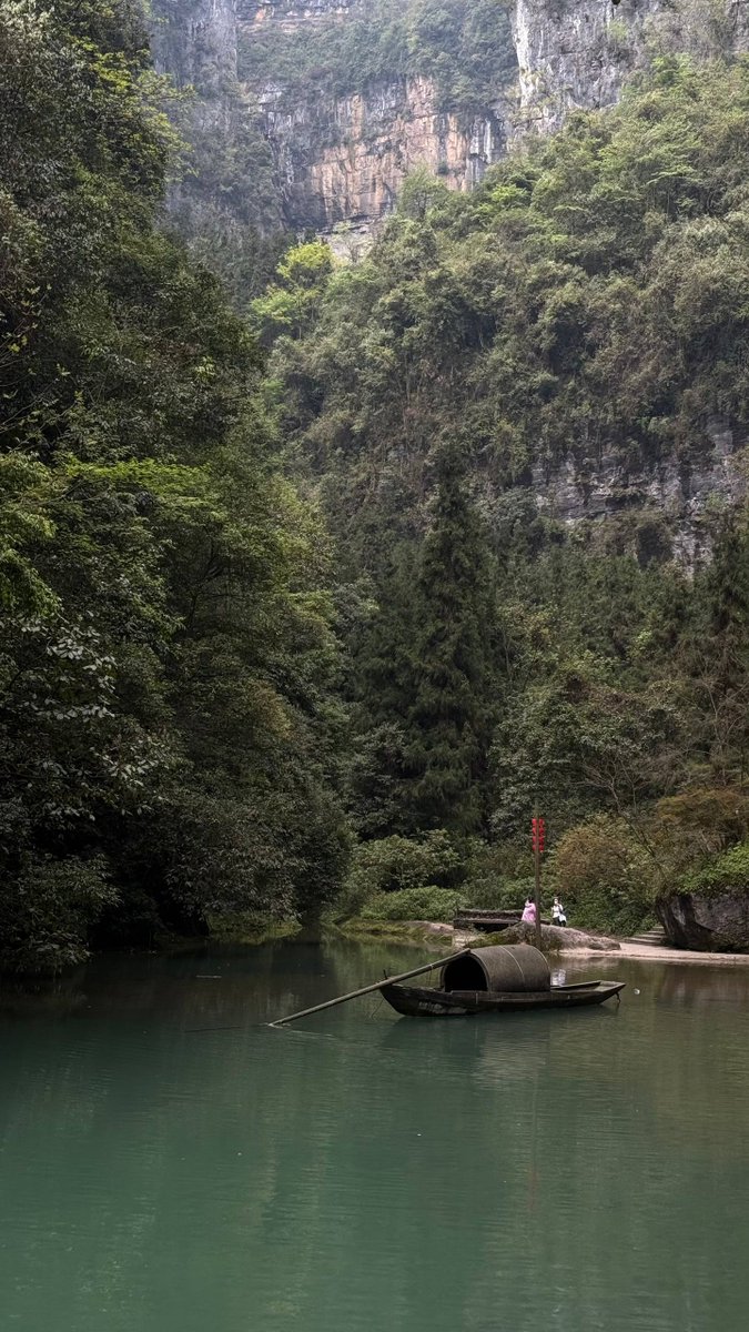 Dan Kulkov tweet media