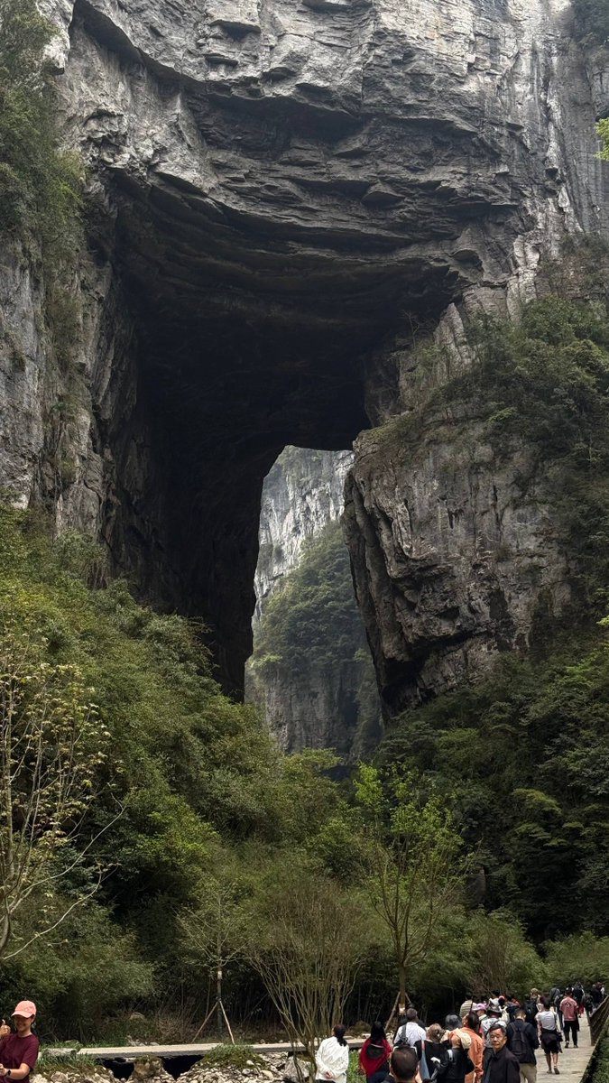 Dan Kulkov tweet media