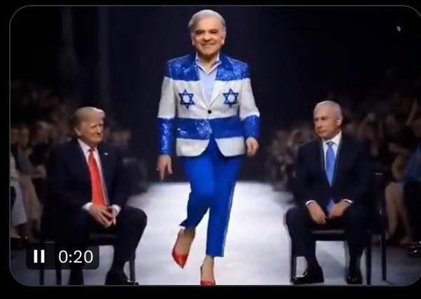 ZuttHero tweet media