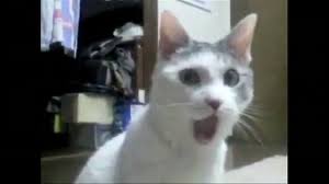 Pro Hero Katsuki Big Booty Boom Pow Bakugo tweet media