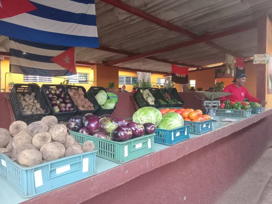Estuvimos en la Feria este sábado y siempre es momento para intercambiar, escuchar opiniones de la población y evaluar el diseño de esta actividad.
#ProvinciaGranma