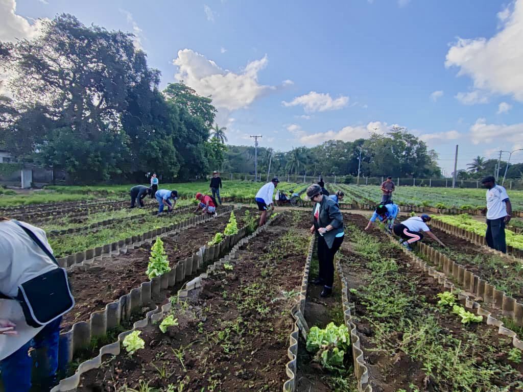 Lis Cuesta tweet media