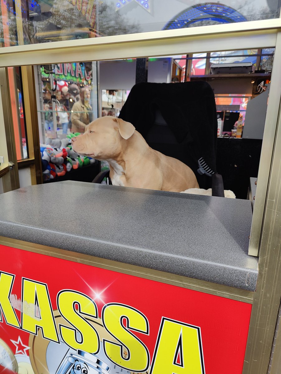 GSMforensc's tweet photo. Weer heer gezellig op de #kermis in #sliedrecht  de #hond aan de kassa steelt de show @Sliedrecht24 @SamenSldrcht https://t.co/5tYHxlC0LU