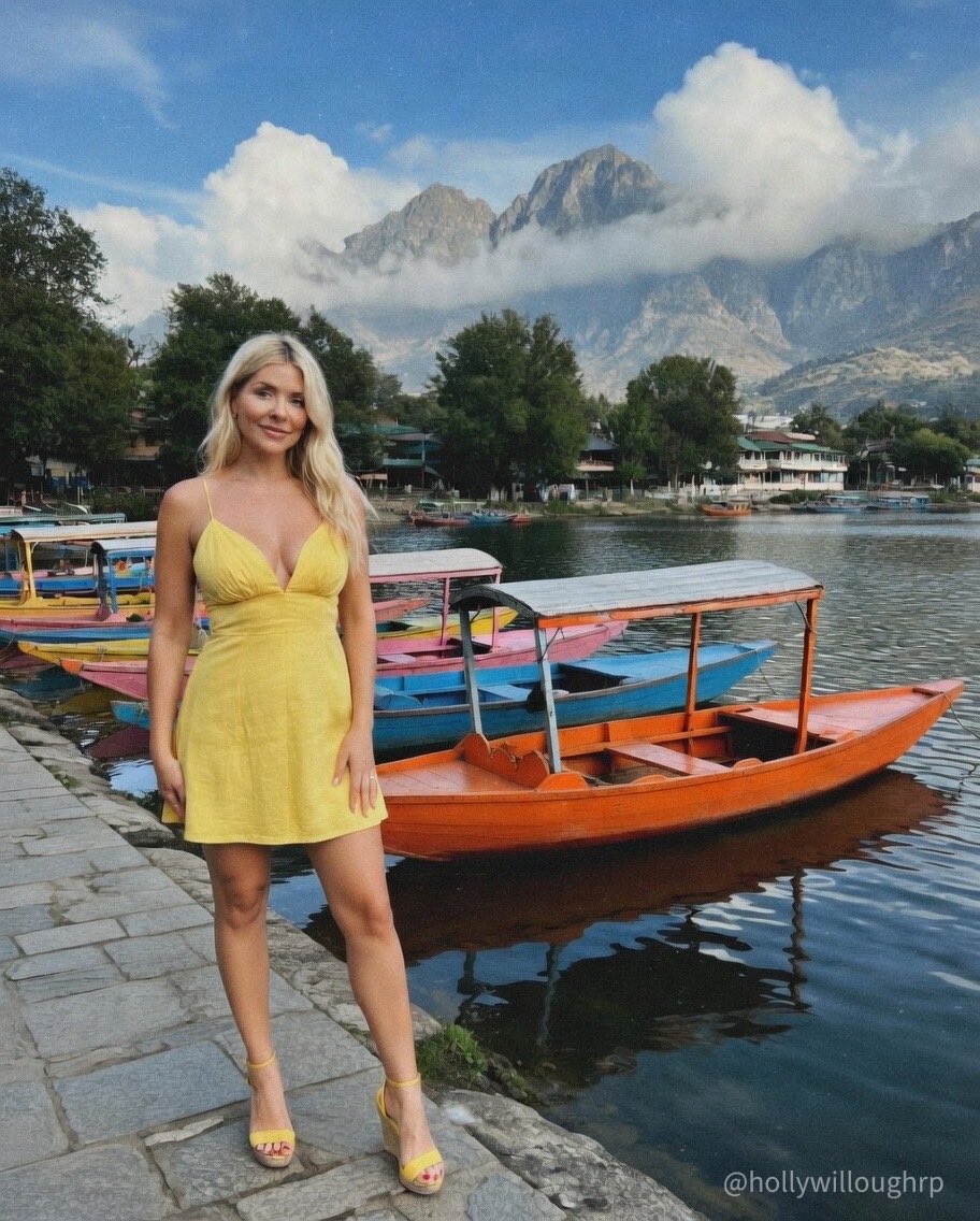 Fake Holly tweet media