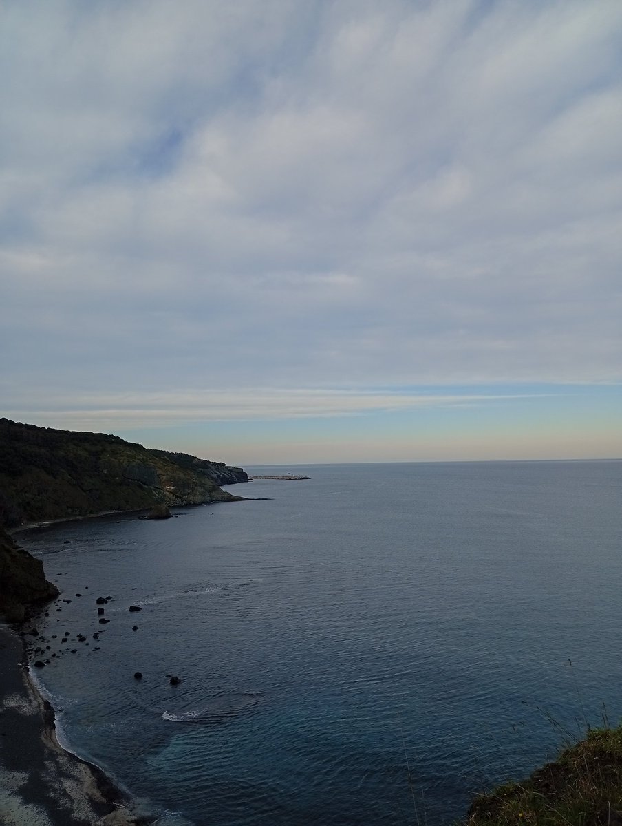 zarina✨ tweet media