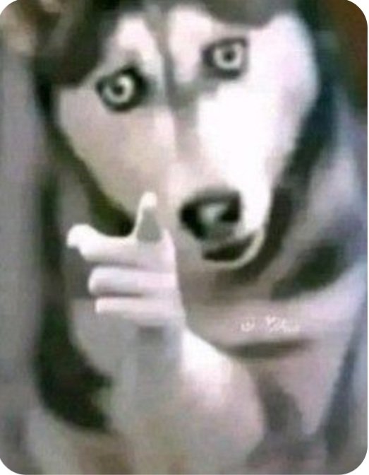 HeartFener💙💛 tweet media