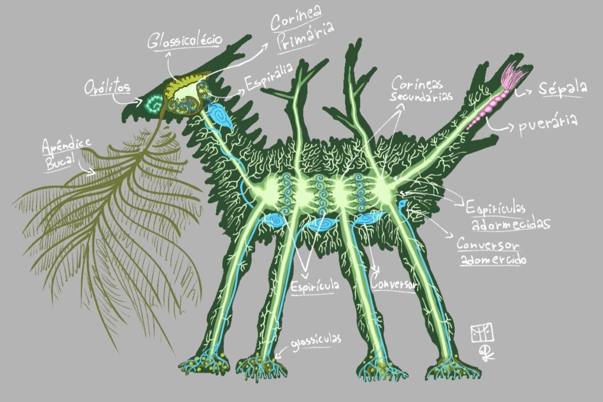 Otto Okitavios comms closed!!! tweet media