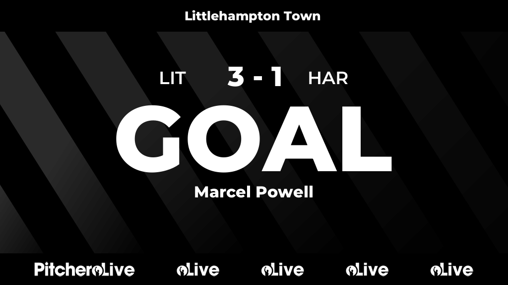 Littlehampton TownFC tweet media