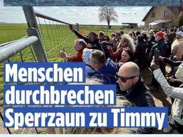 FieserFriese tweet media