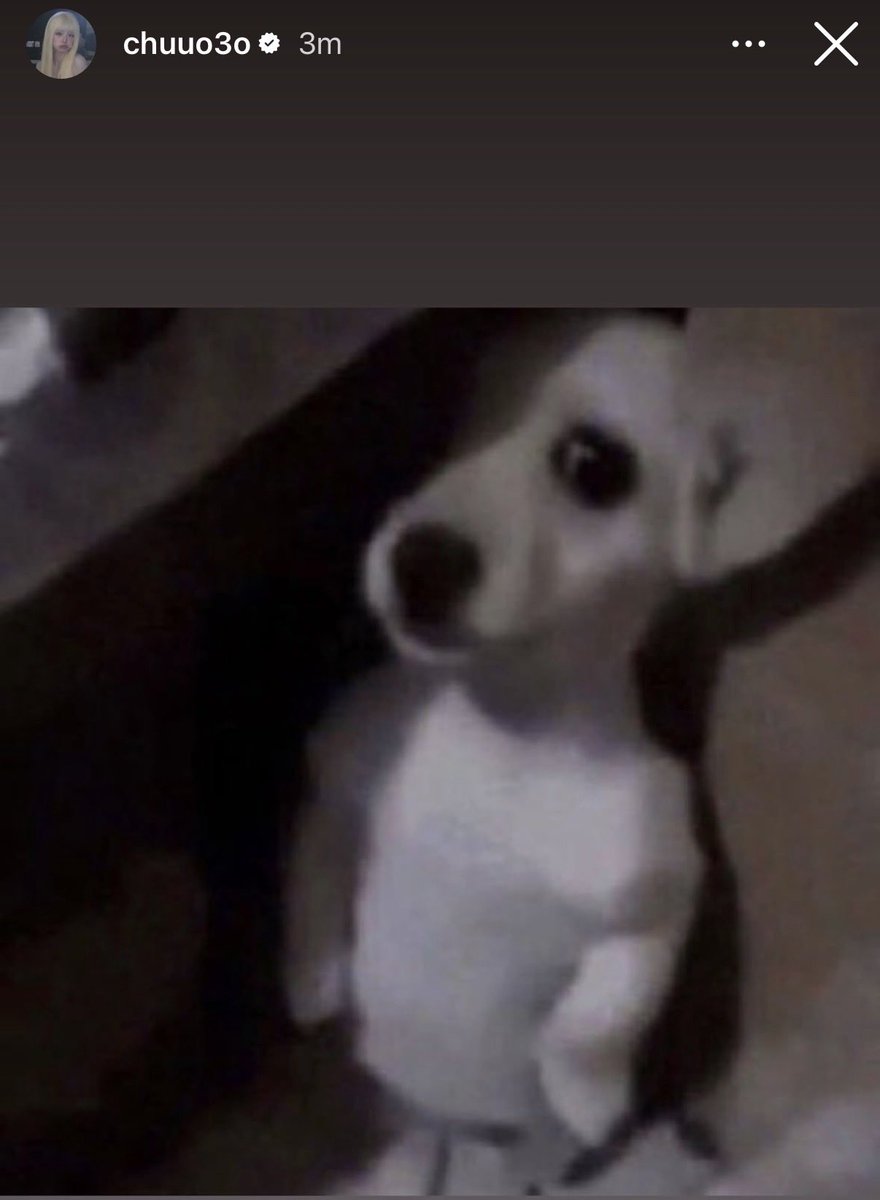 chuu.lvr tweet media