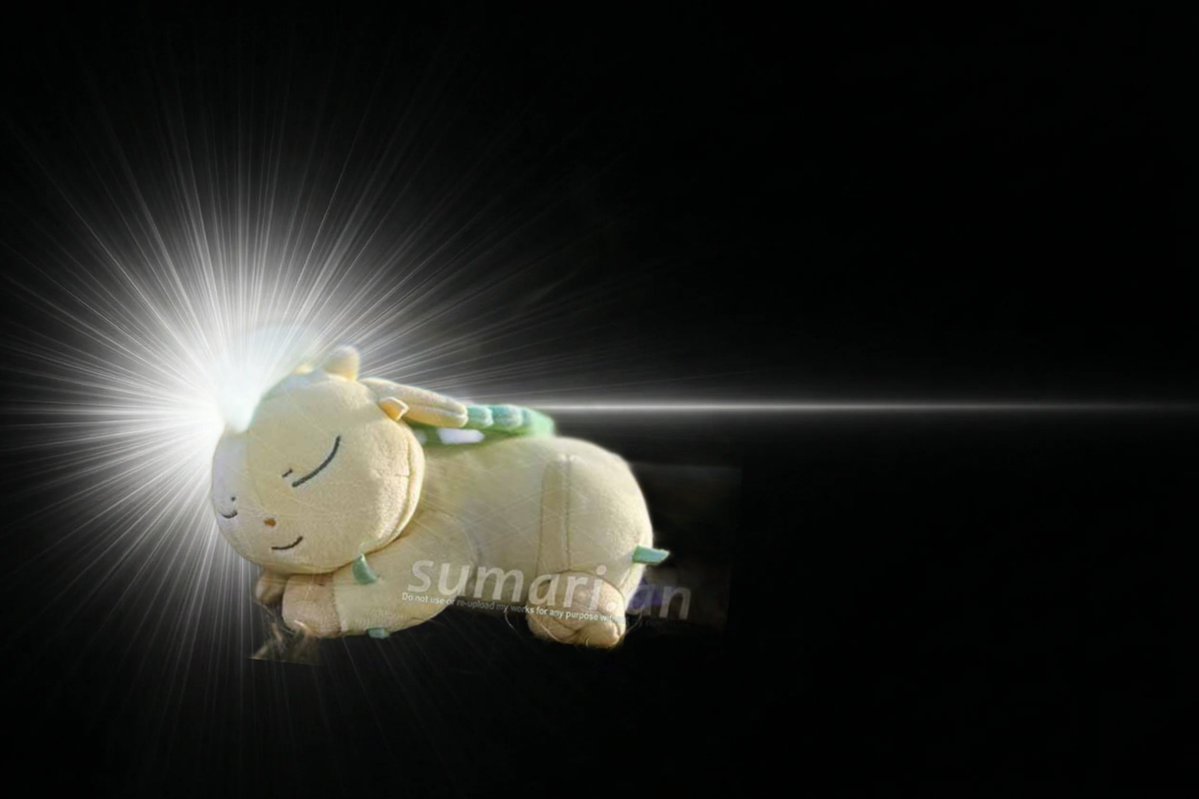 すまり庵@ぬいぐるみ写心家 tweet media