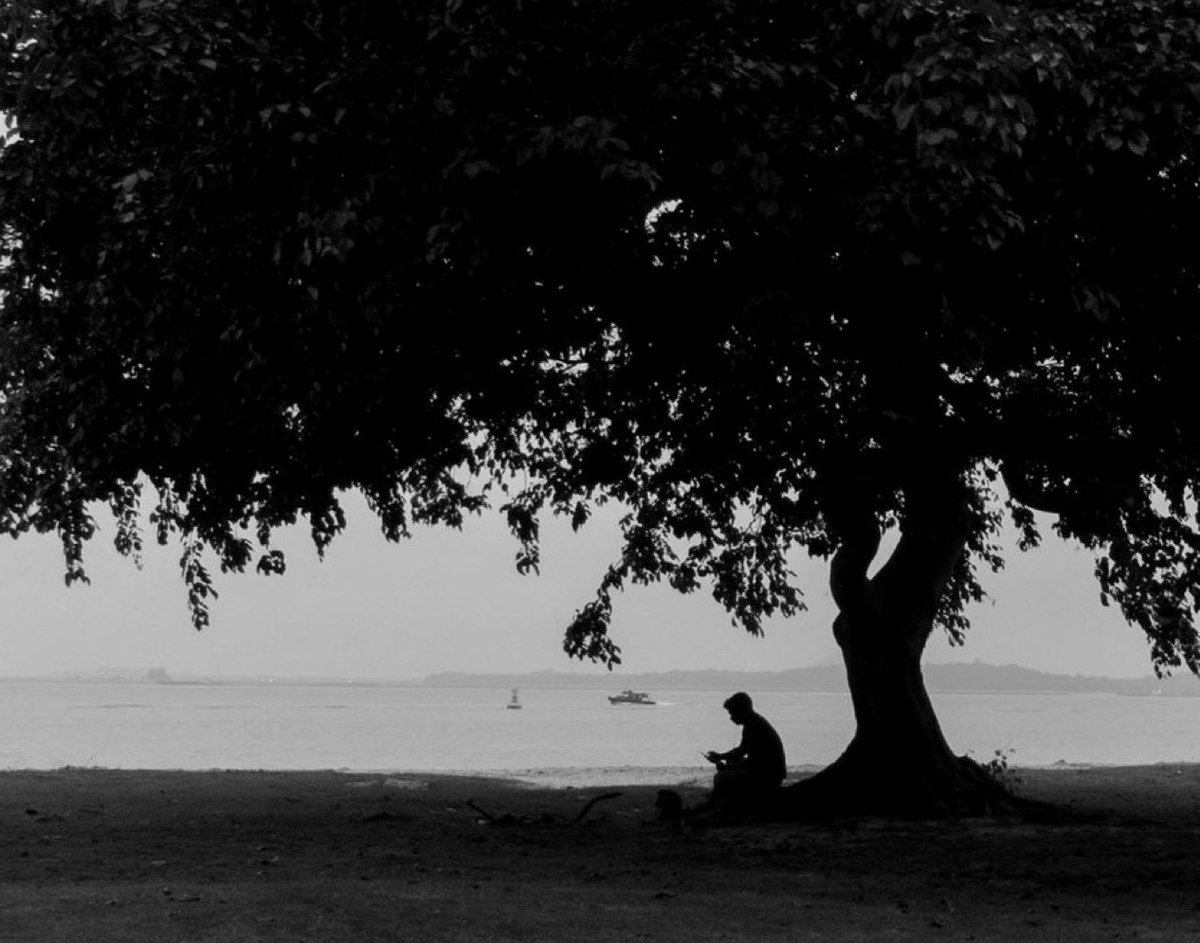 ماجد الرآقي tweet media