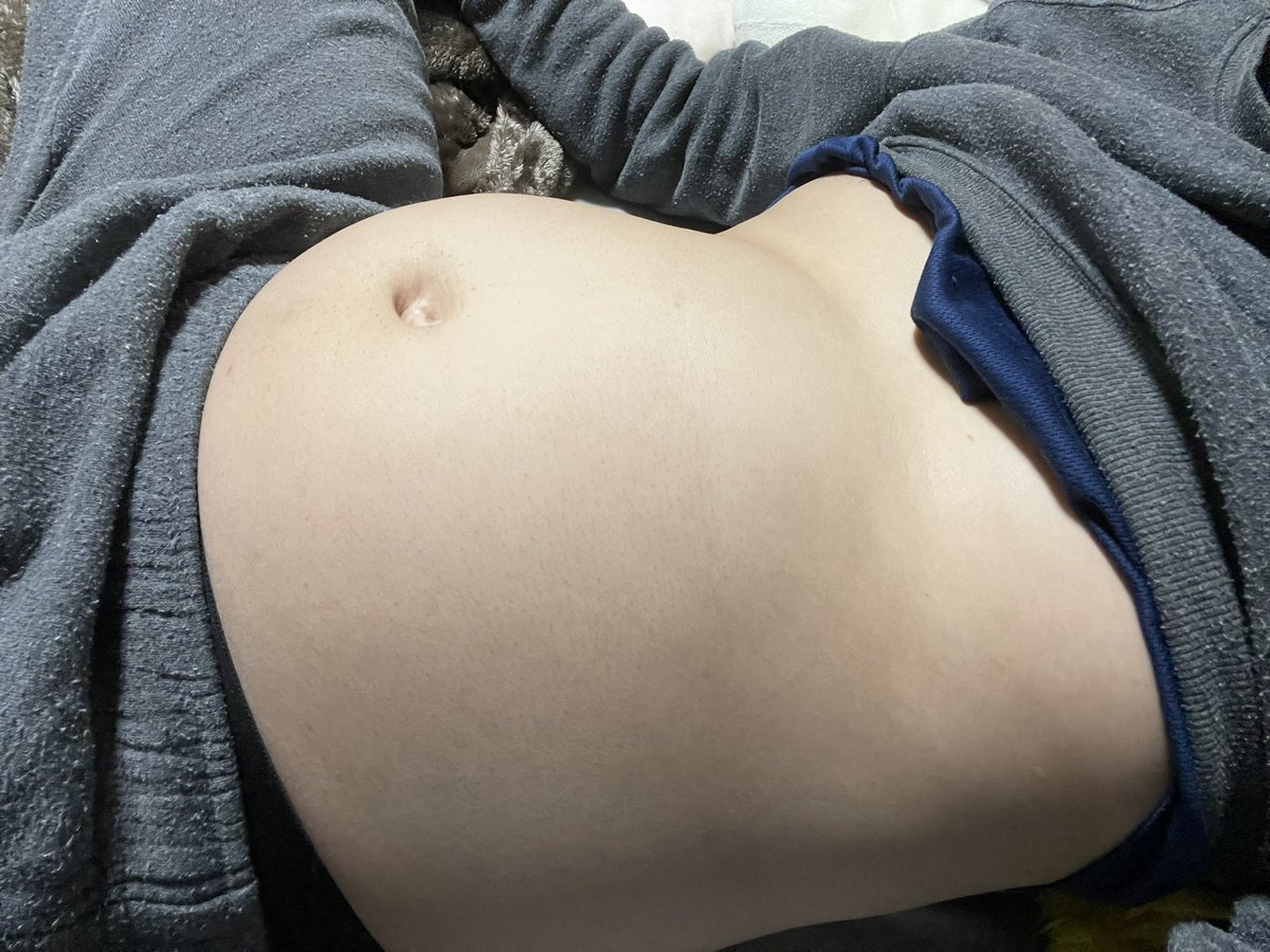 太膨狐🦊 tweet media