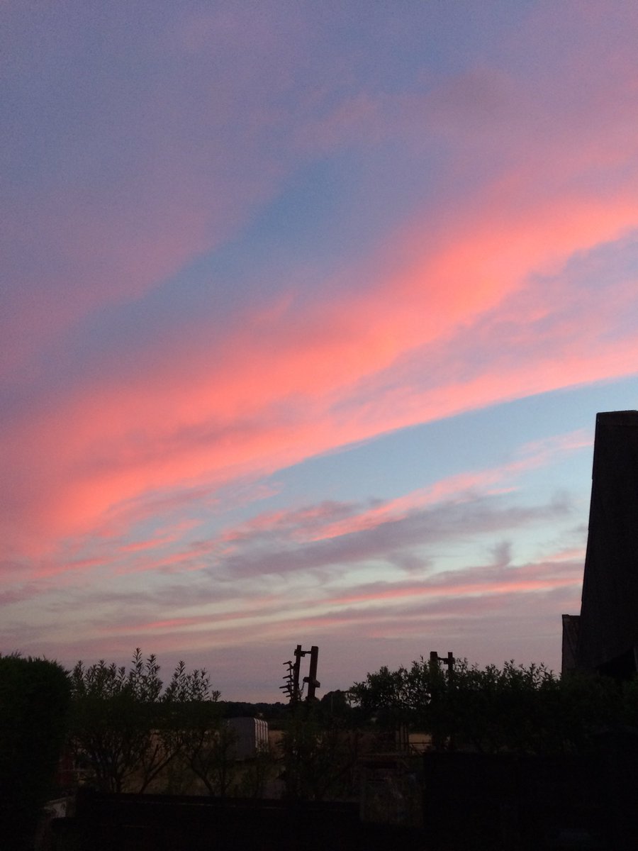 Steve Johnson tweet media