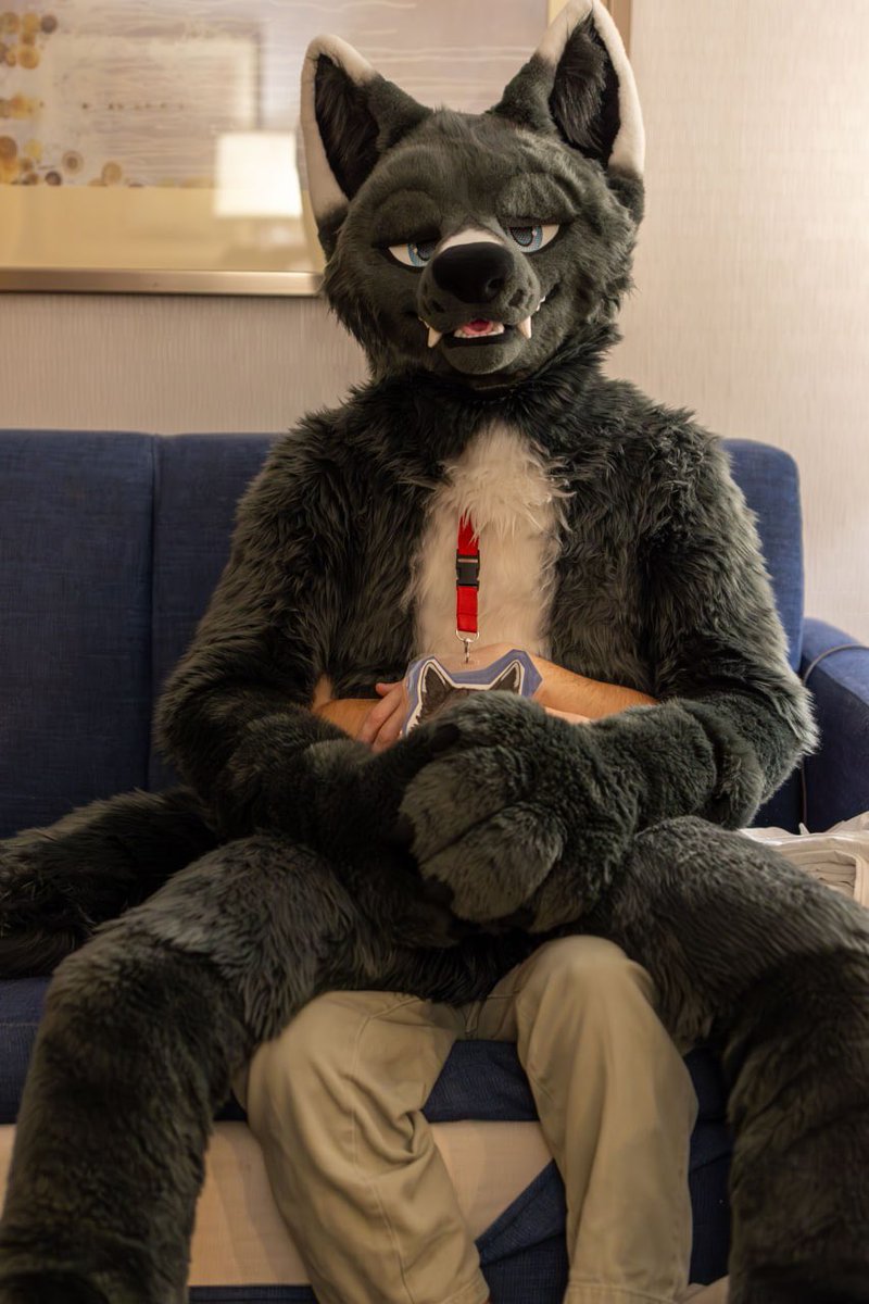 Coal 🔜 FWA tweet media