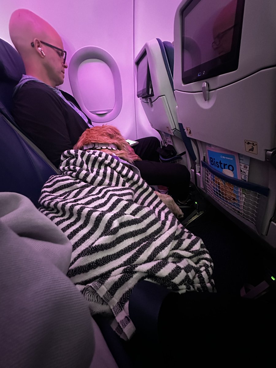 Briley | UGC Creator + Creative Strategist tweet media