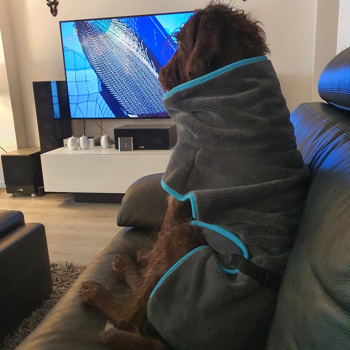 Kim Jong Bumm tweet media