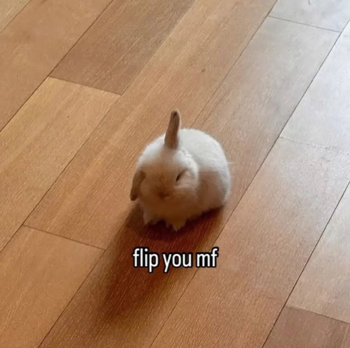 that guy tweet media