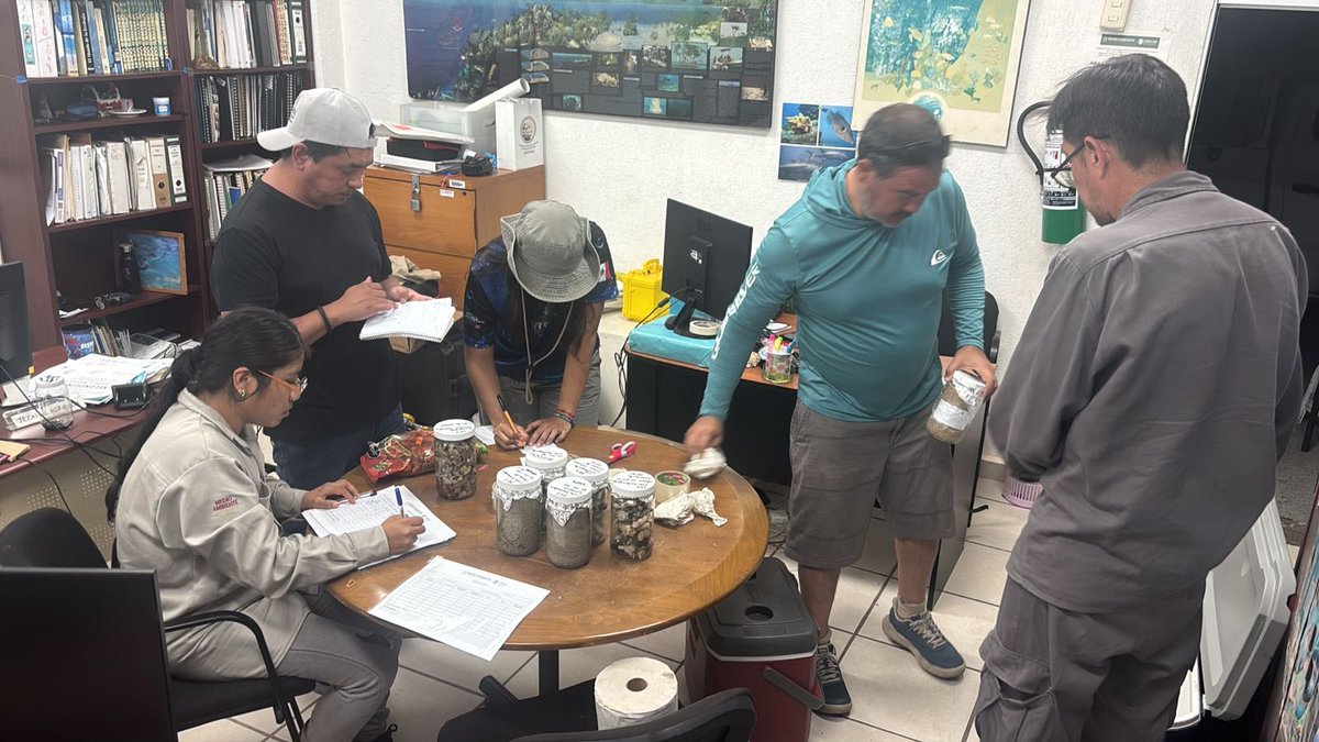 SEMARNAT México tweet media