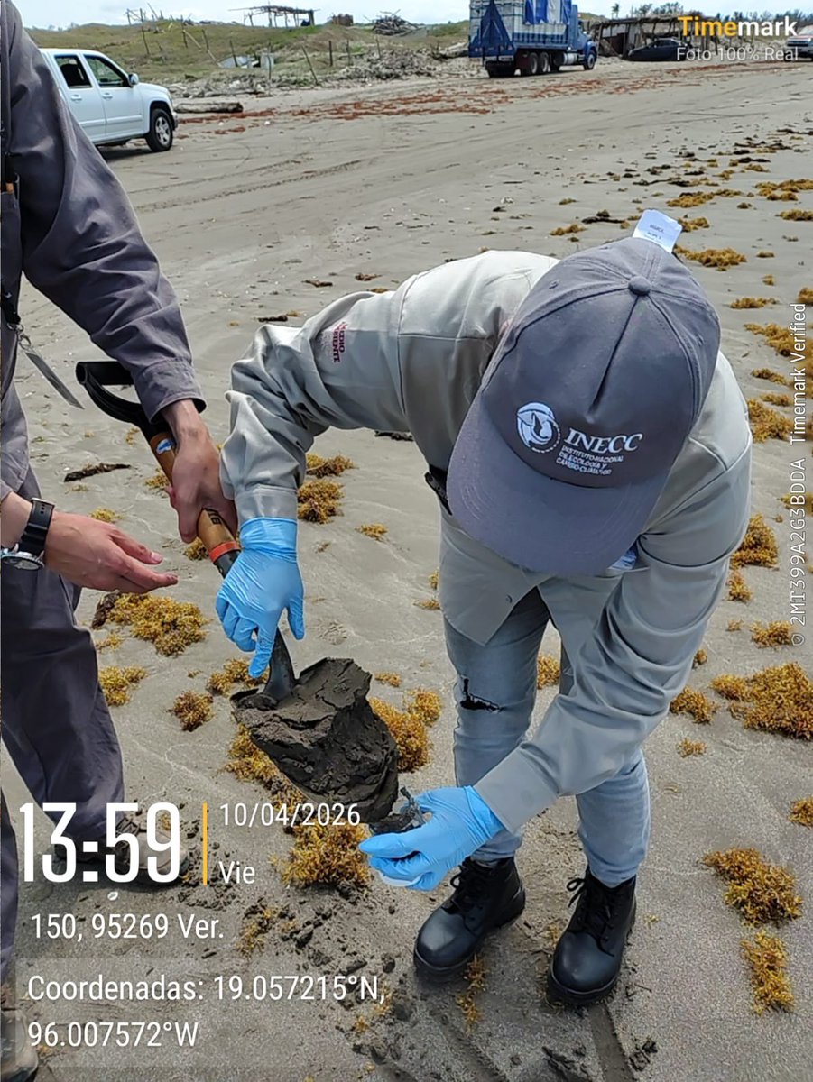 SEMARNAT México tweet media