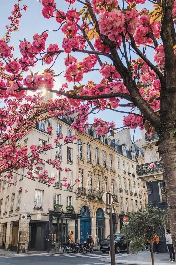 WanderLens tweet media