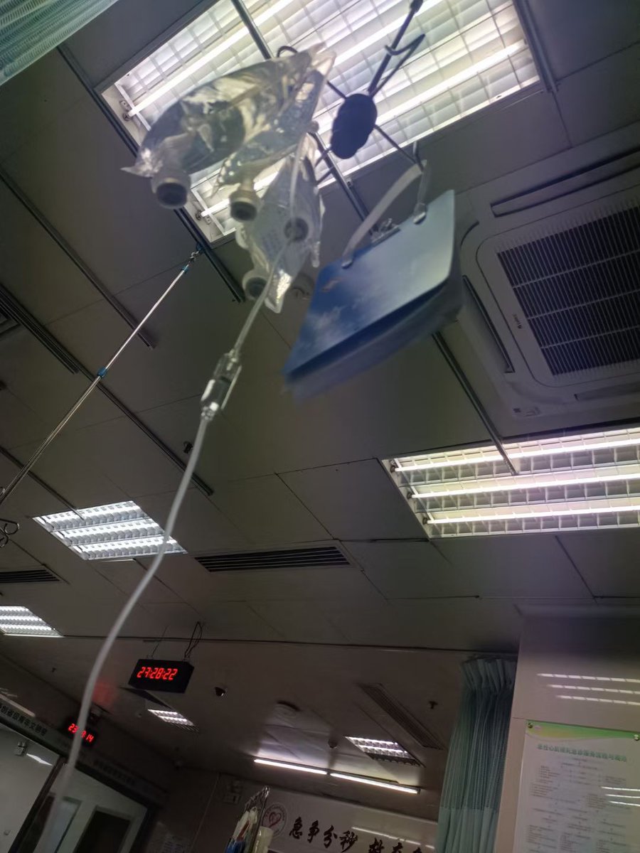 虚空薯条教主 tweet media