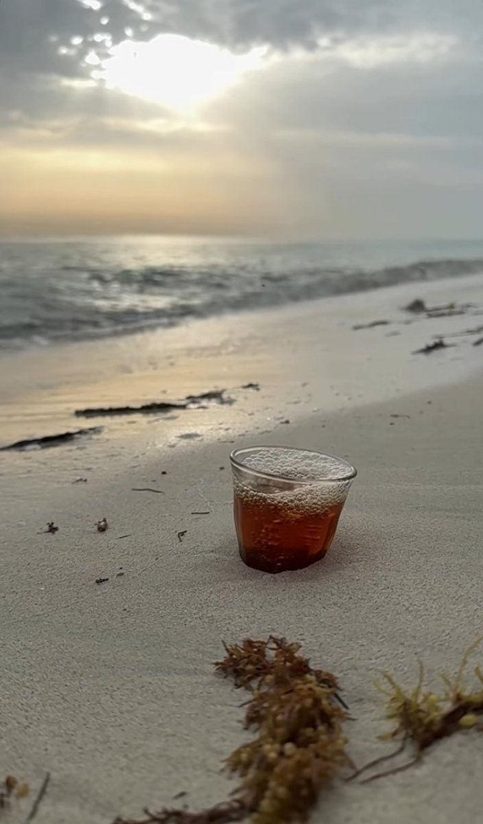 ⍣ذَهــــــبَ الُِــعٍـامـــرٍيــة⍣ tweet media