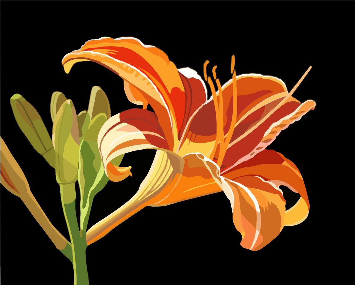 Unsplash tweet media