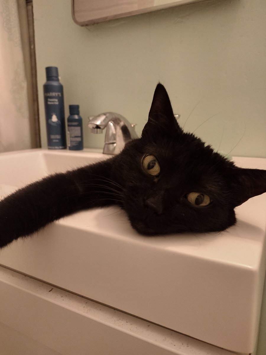 RemaGeek tweet media