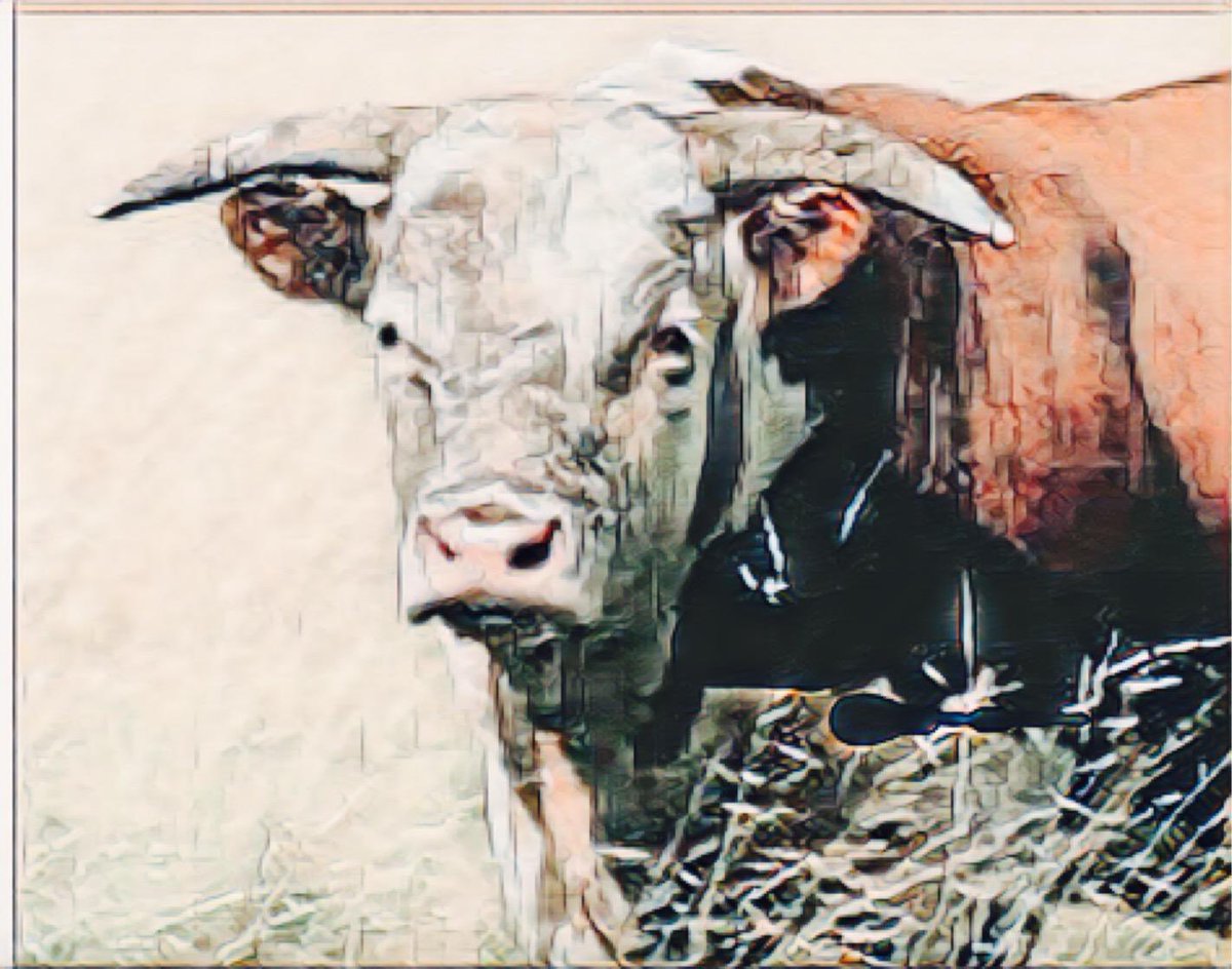 El Baqueano tweet media