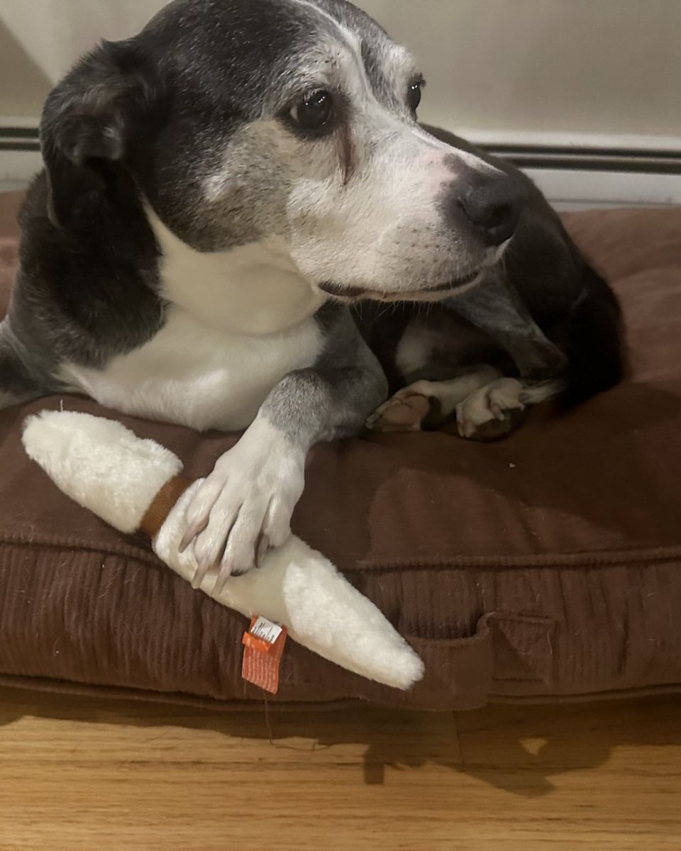 GIANTmicrobes, Inc. tweet media