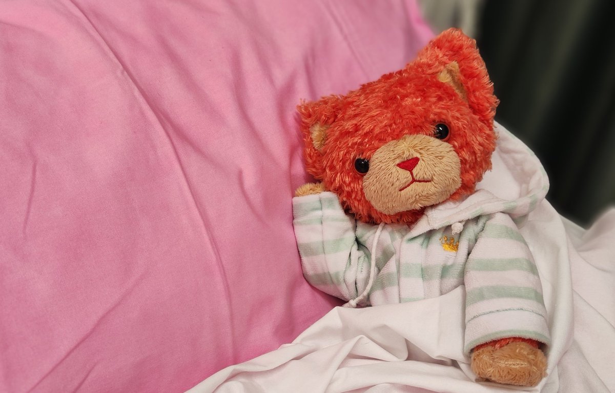 🍎🍅🍎🍛kai@ スタトレ 2日も参戦🍛♪♬ tweet media