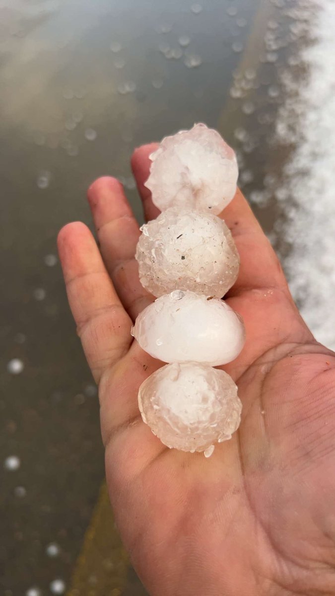 ,َعاشق ,َالبر  tweet media