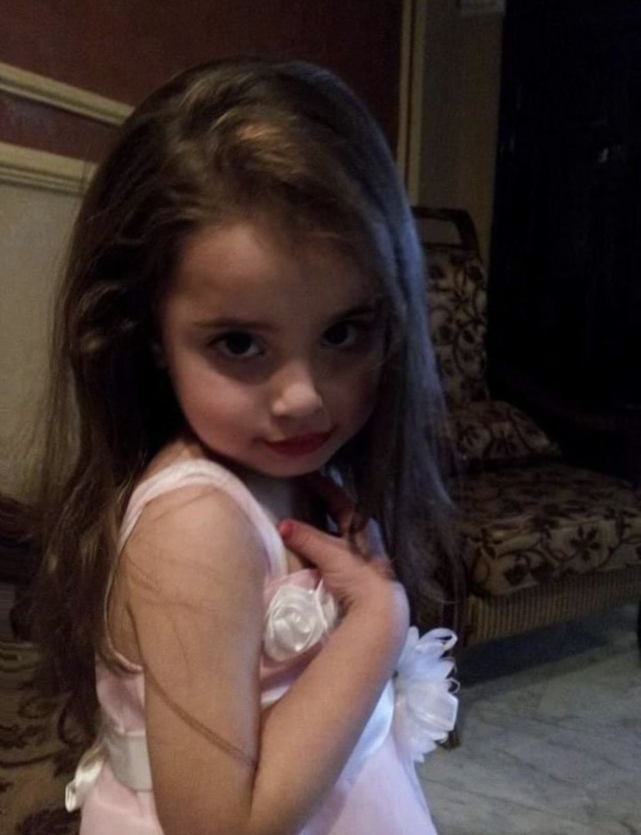 dмчɑиɑ tweet media