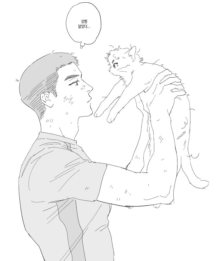 보일러실의 고양이