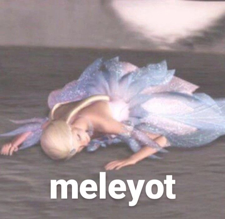 95ish🙇🏻♀️ tweet media