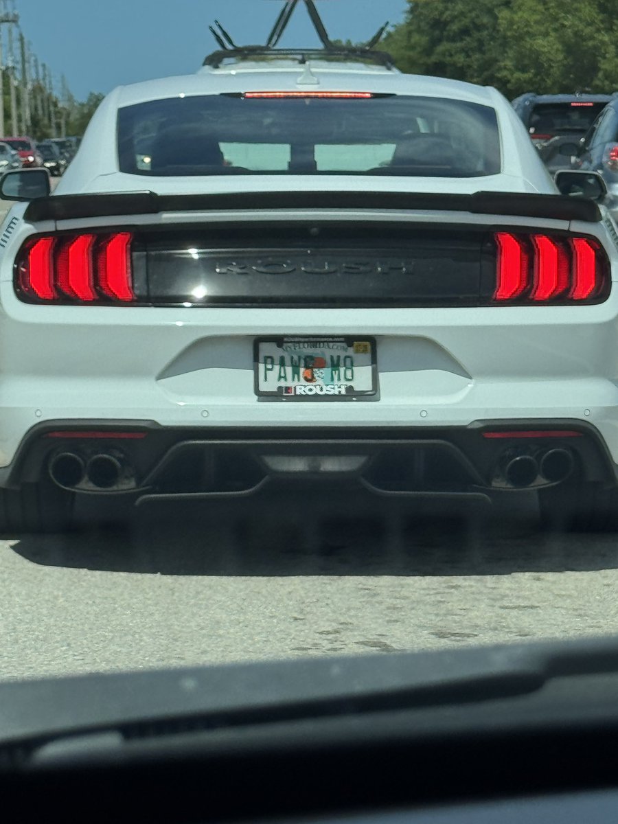 WolfLess The Rexouium tweet media