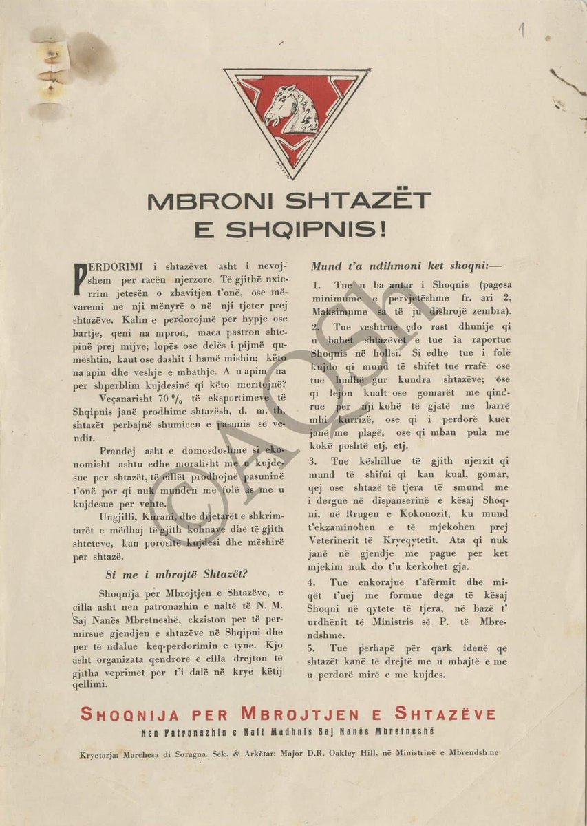 Albanian Archive tweet media