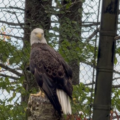 PatriotTwo777's tweet photo. #NewProfilePic https://t.co/CHJMgo7XuM