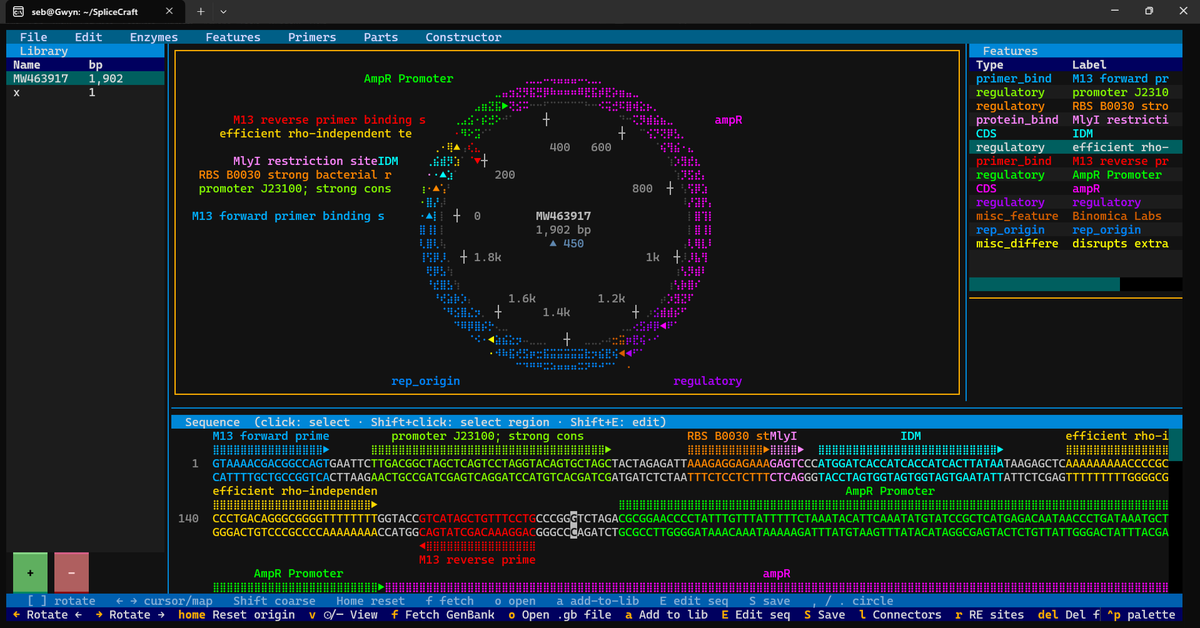 ATinyGreenCell's tweet photo. Makin a bunch more stability updates and bug fixes for my TUI plasmid editor. Currently workin on a pLannotate wrapper module so you can annotate plasmids imported where the author did not fully annotate all the features. I'll eventually try to pull plasmidsaurus seq results too https://t.co/WMfmwgqZtE