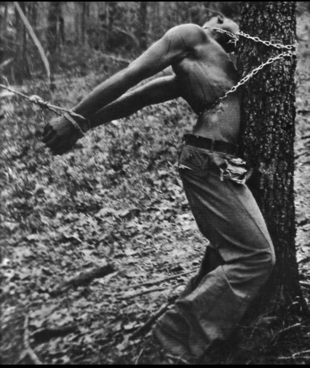 Michael Connor tweet media