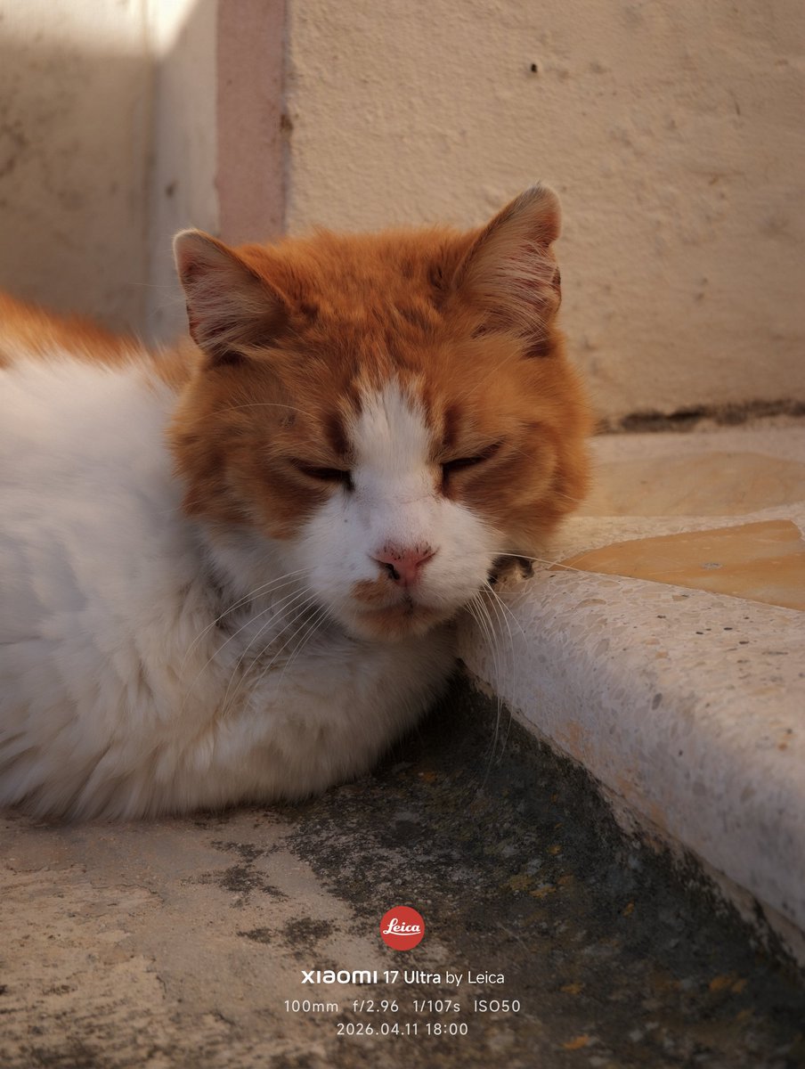 Karolina 📱🇲🇹 tweet media