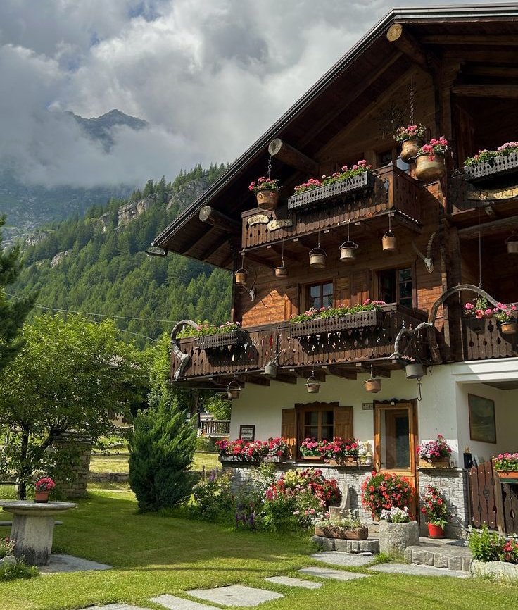 Beauty Explorer tweet media