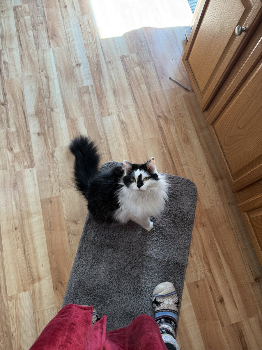 Diana Alastair💚🤍💜 ⚢ ❌❌ tweet media