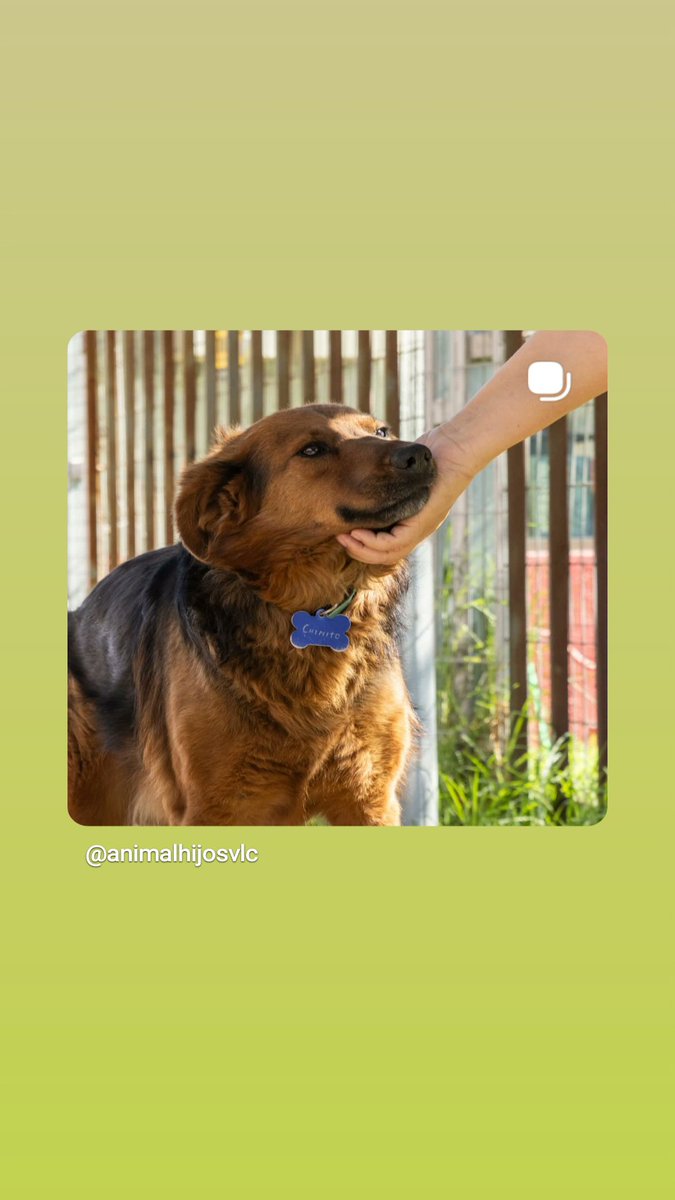 Ma. Daniela Yañez F tweet media