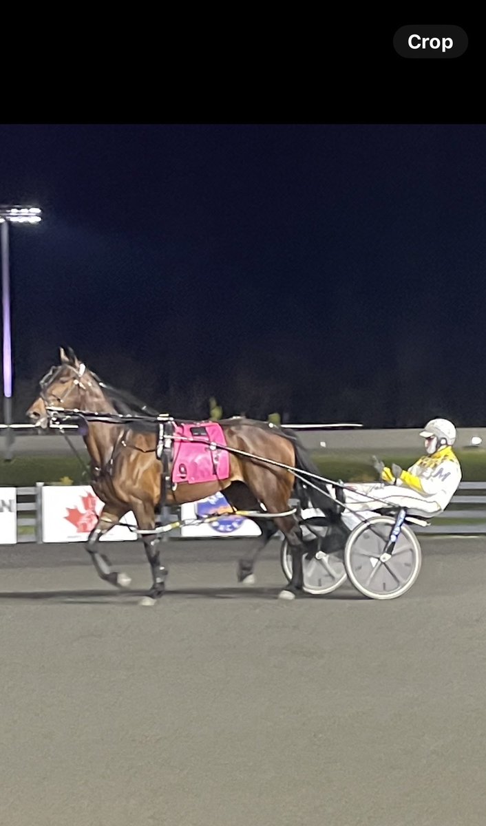 Renata Lumsden tweet media