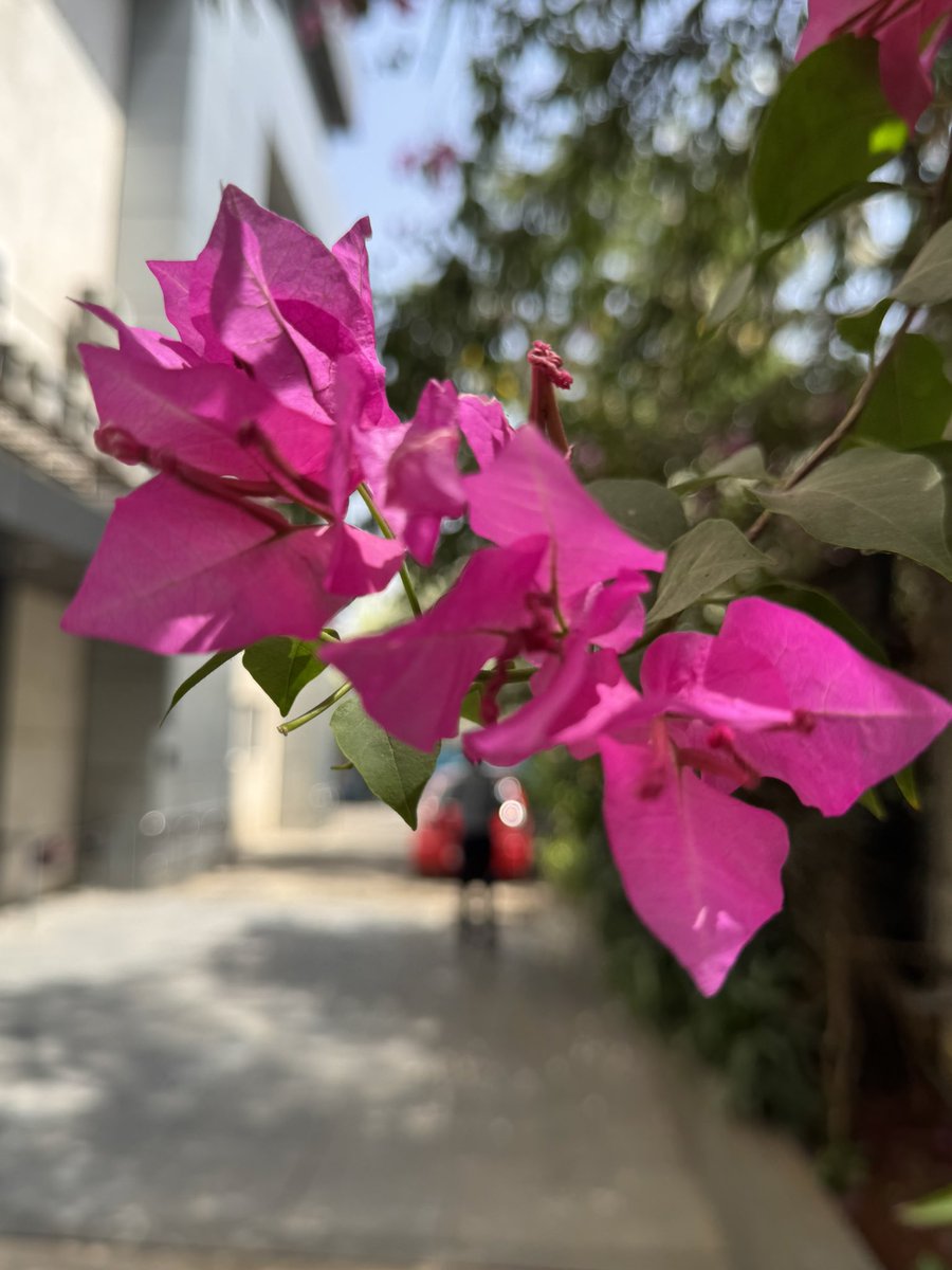 synapse_singh's tweet photo. #theme_pic_India https://t.co/3yktcCmzHe