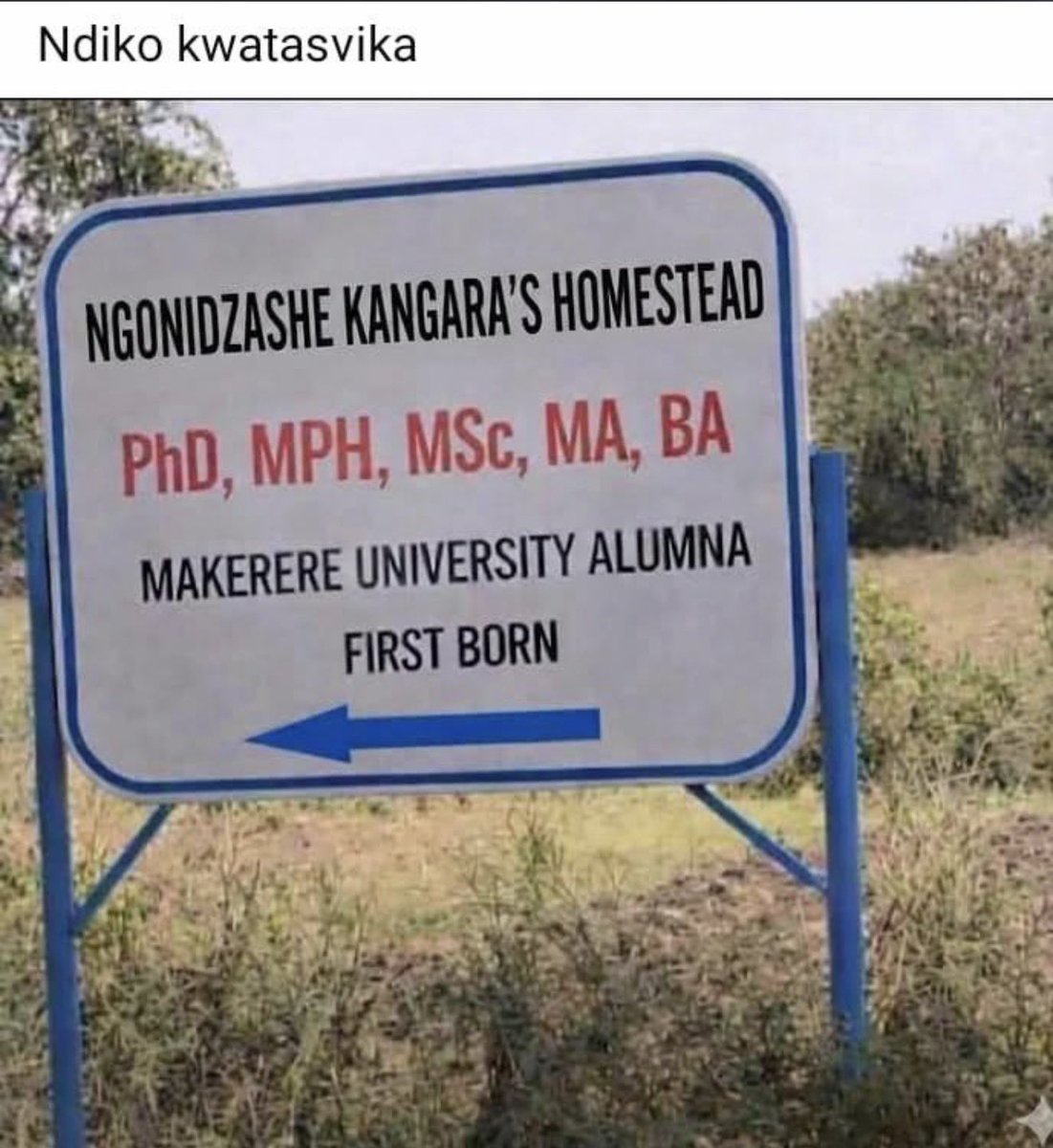 Dr PT 👩🏻‍⚕️ tweet media